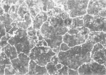 ���l������𣬻ػ𣬼ӟ��˻�ą^�e��ʲô��