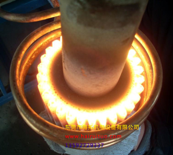 �P�c(di��n)2019���ˇ���õ�10�N����