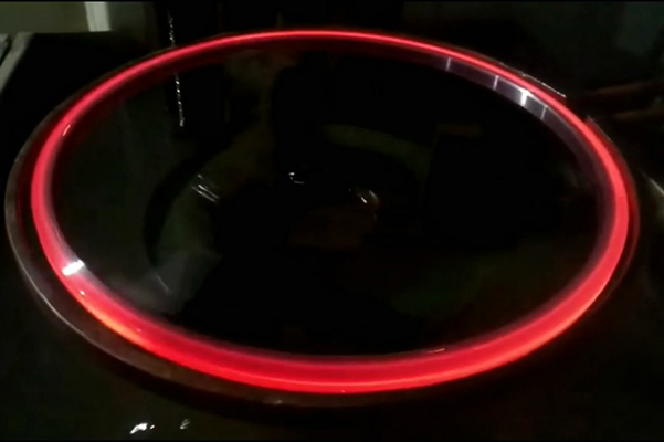 ���l���C�������������̎��